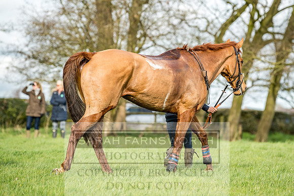 Wynnstay Hunt Ride 2019-108