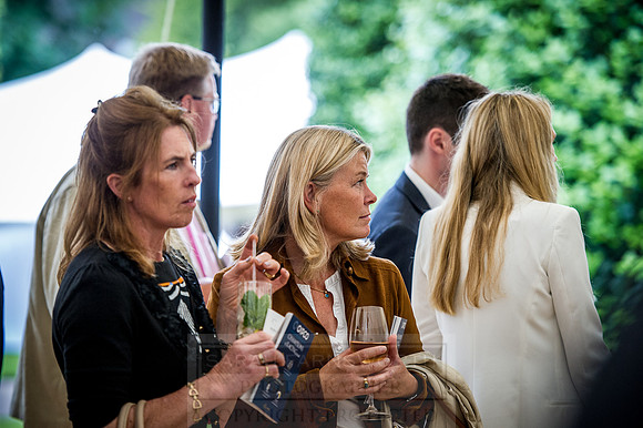 Goffs London Sale 2016-237