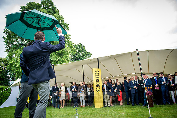 Goffs London Sale 2016-240