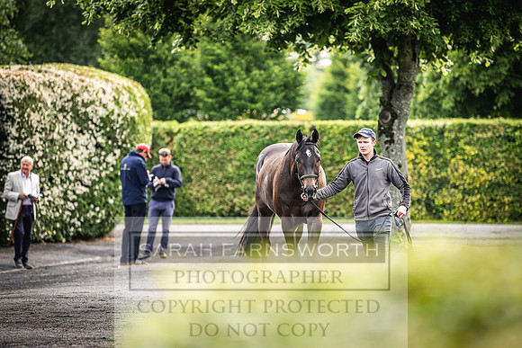 Goffs Land Rover Sale 2022-53