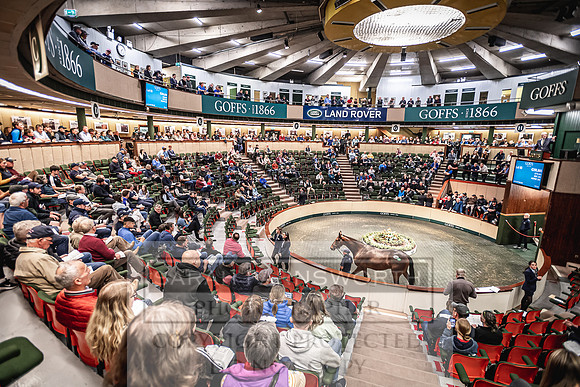 Goffs Land Rover Sale 2022-294