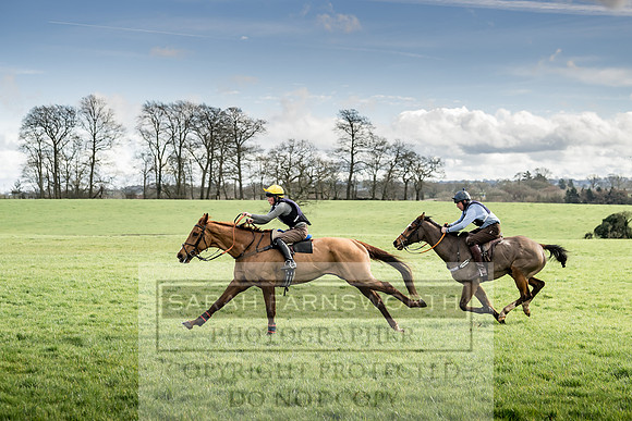 Wynnstay Hunt Ride 2019-74