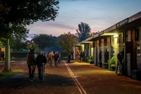 Goffs Orby 2015 -4