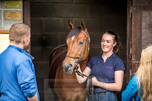 Goffs Orby 2018 Day 1-327