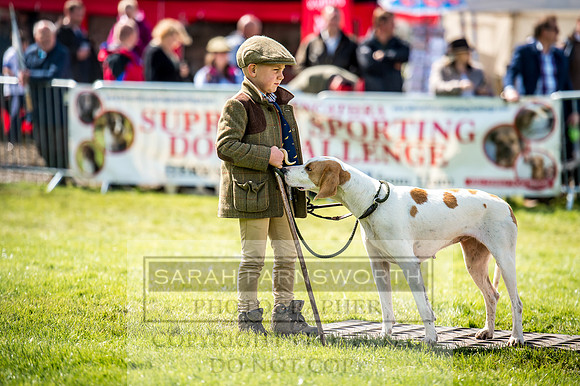Lowther Hound Show 2017-74