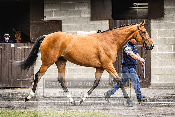 Goffs Land Rover Sale 2022-353