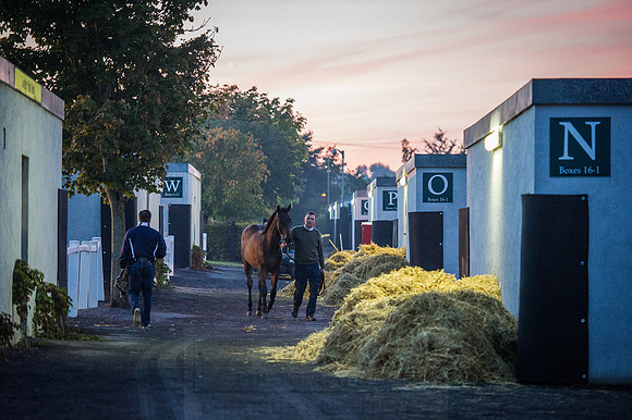 Goffs Orby 2015 -25
