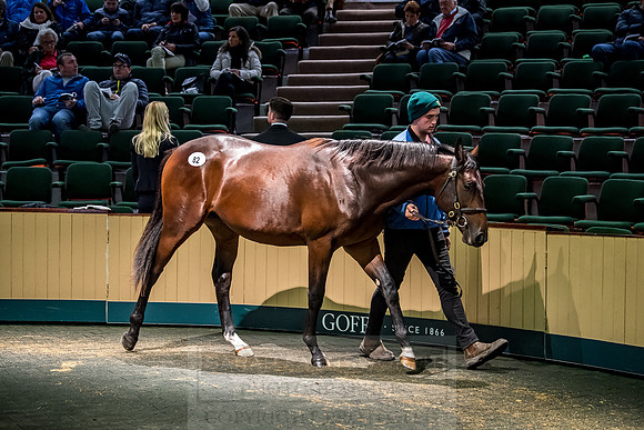 Goffs Orby 2018 Day 1-263