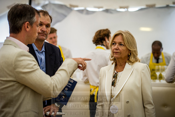 Goffs London Sale 2016-213