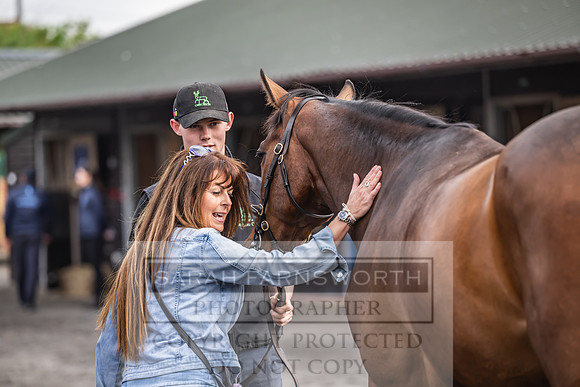 Goffs UK Spring Sale 2024-49