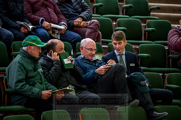 Goffs Orby 2018 Day 1-442