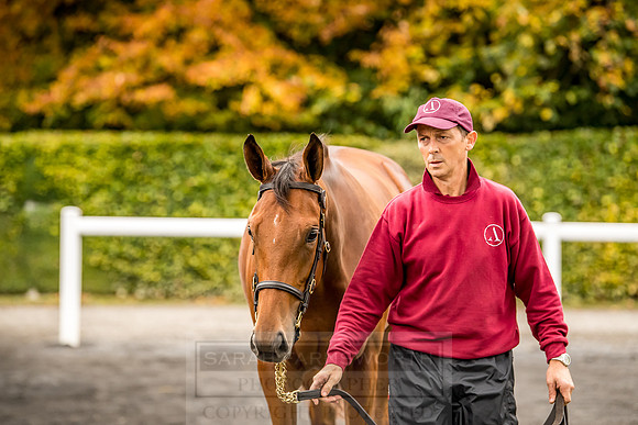 Goffs Orby 2018 Day 1-85