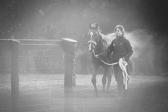 Goffs Orby 2015 -461 bw