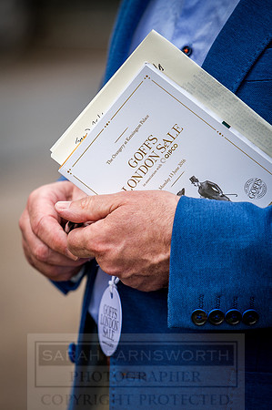 Goffs London Sale 2016-137