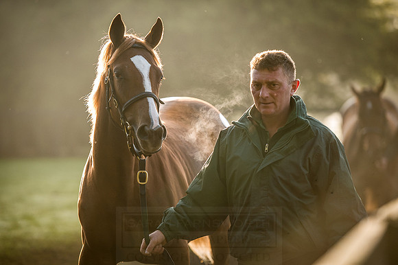 Goffs Orby 2015 -465