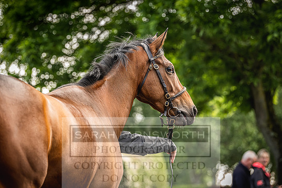 Goffs Land Rover Sale 2022-26