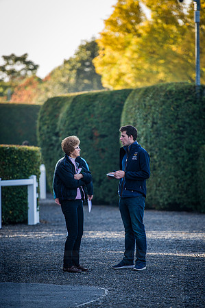 Goffs Orby 2015 -510