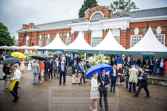 Goffs London Sale 2016-314