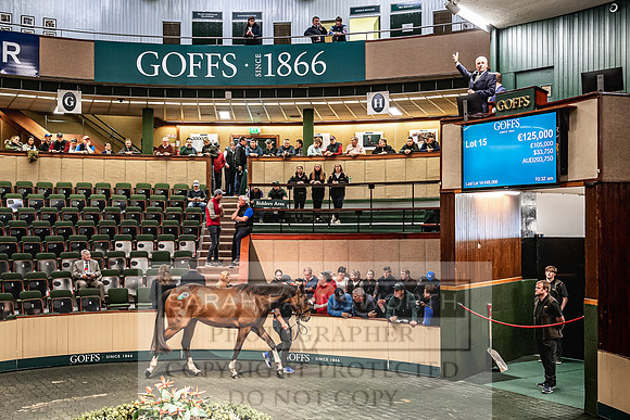 Goffs Land Rover Sale 2022-201