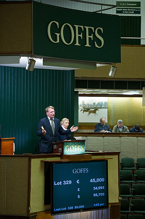 Goffs Orby14 CF10 245