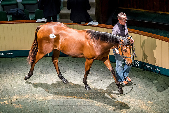 Goffs Orby 2018 Day 1-247