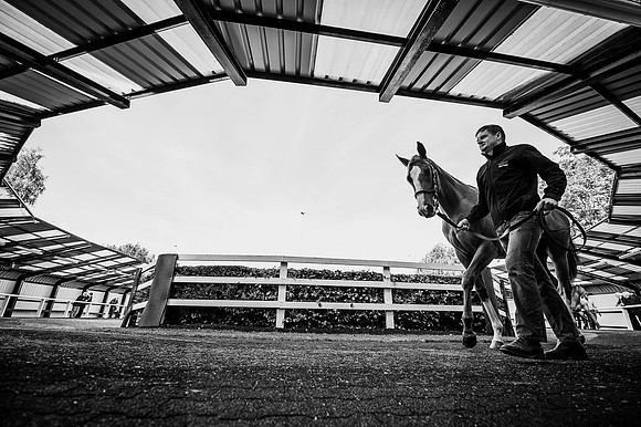 Goffs Orby 2015 -320 bw
