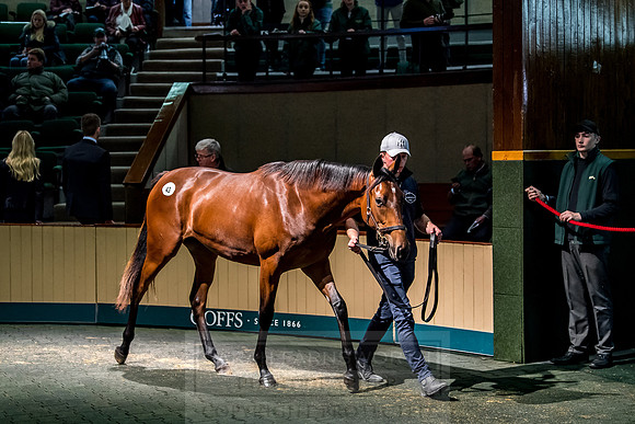 Goffs Orby 2018 Day 1-244