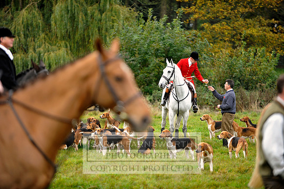 Brocklesby 021113 CF3 392