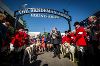Ardingly Foxhounds 2015-8