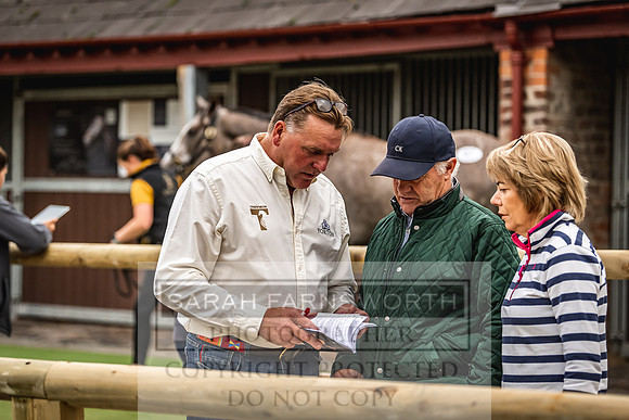 Goffs Yorton Sale 2022-60