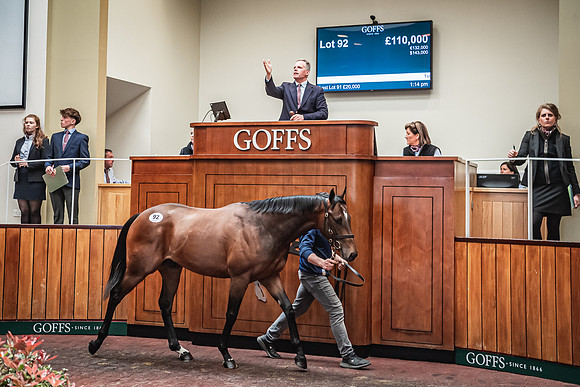 Goffs UK Breeze Up 2022-297
