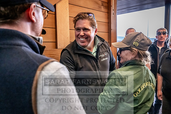 Goffs UK Spring Sale 2024-142