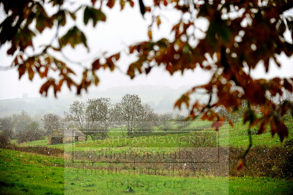 Autumn Snow 012