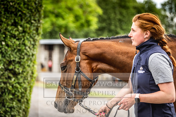 Goffs Land Rover Sale 2022-304