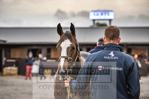 Goffs UK PY24-48
