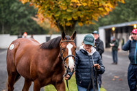 Goffs Orby 2018 Day 1-18