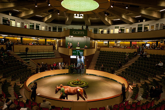 Goffs Orby14 CF4 170