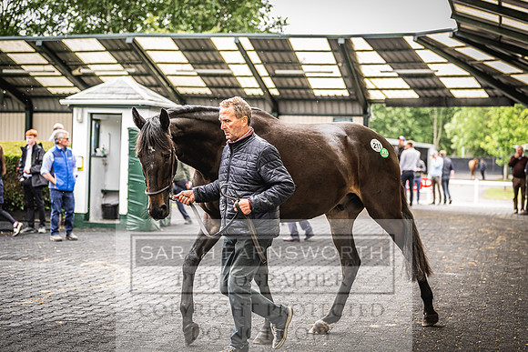 Goffs Land Rover Sale 2022-425
