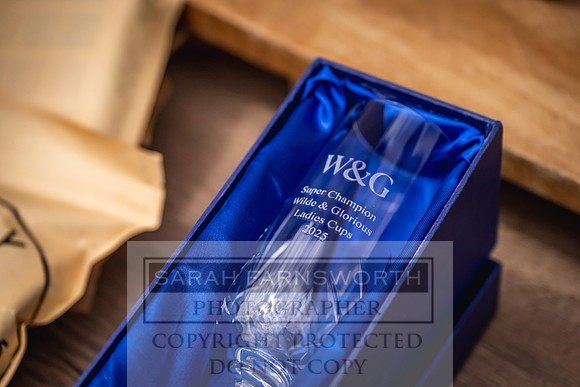 W&G Grimsthorpe Ladies Cup 2025-636
