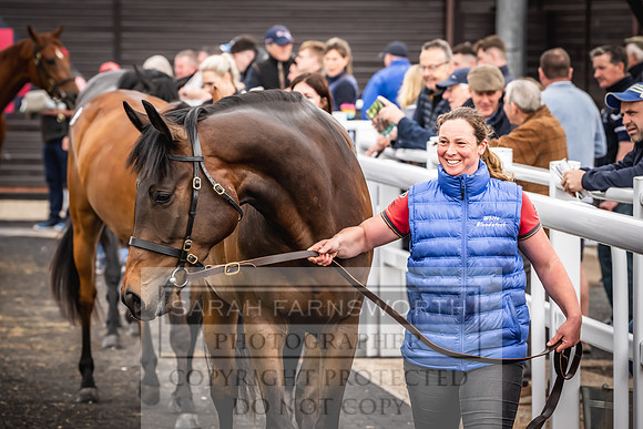 Goffs UK Spring Sale 2024-101