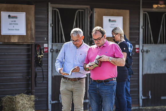 Goffs UK Spring Sale 22 Day 2-3