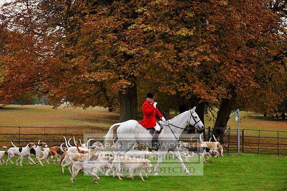 Clare & Neil CF3 1107a
