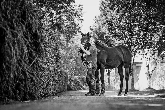 Goffs Orby 2015 -381 bw