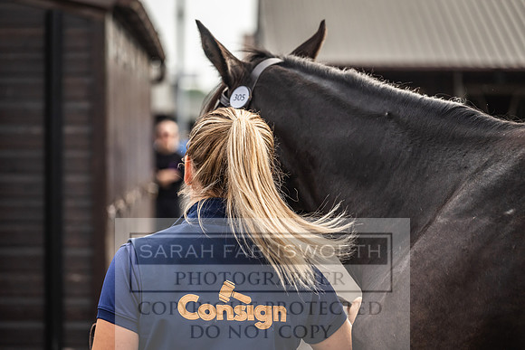 Goffs UK PY24-351