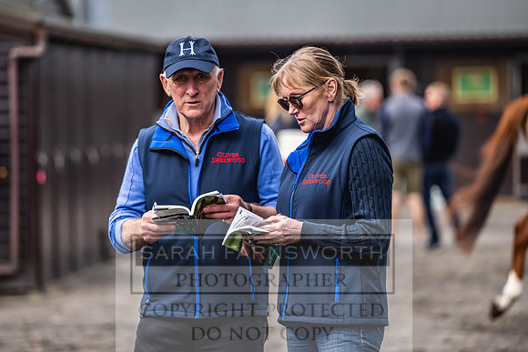 Goffs UK Spring Sale 2024-83