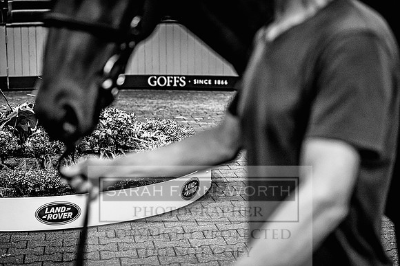 Goffs Land Rover Sale 2022-442