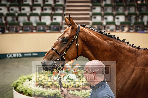 Goffs Land Rover Sale 2022-560