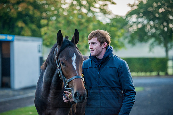Goffs Orby 2015 -79