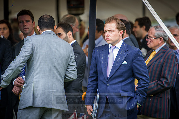 Goffs London Sale 2016-345