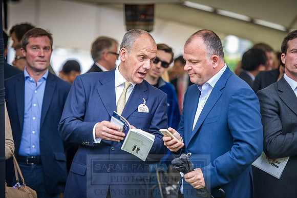 Goffs London Sale 2016-412